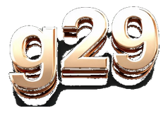 g29 logo
